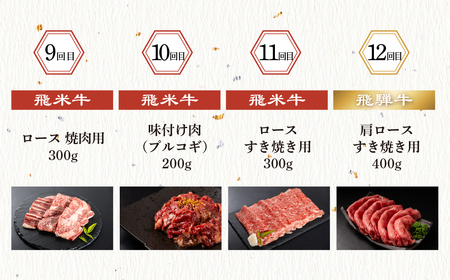飛騨牛×飛米牛 全12回のブランド牛定期便 焼肉 すき焼き しゃぶしゃぶ ハンバーグ 切り落とし すきやき 切落し 味付け 国産 ブランド牛 食べ比べ セット 牛肉 肉 和牛 お楽しみ 12回 毎月 