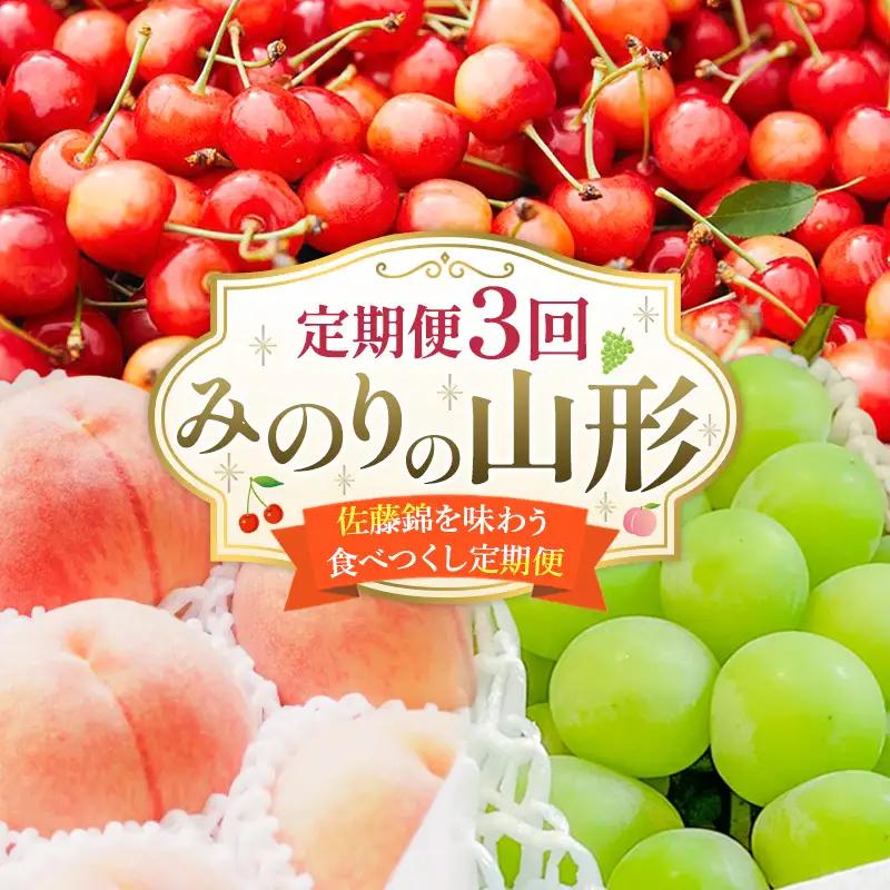 【定期便3回】みのりの山形～佐藤錦を味わう食べつくし定期便～くだもの 果物 フルーツ 山形 山形県 山形市 FY23-908