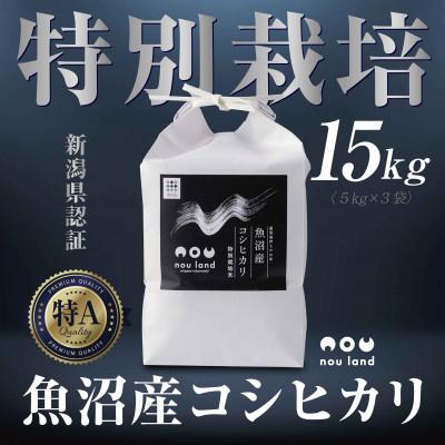 ふるさと納税 十日町市 【令和7年産 新米予約】 農家直送 魚沼産 コシヒカリ 特別栽培米 15kg 十日町市 のうランド