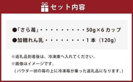 いちご 冷凍 50g×6カップ 合計300g 練乳  完熟 冷凍 いちご 「さら苺」 6カップ 合計300g 練乳付き 1本（120g） 園村苺園 熊本県産冷凍いちご 宇城市産冷凍いちご 九州産冷凍い