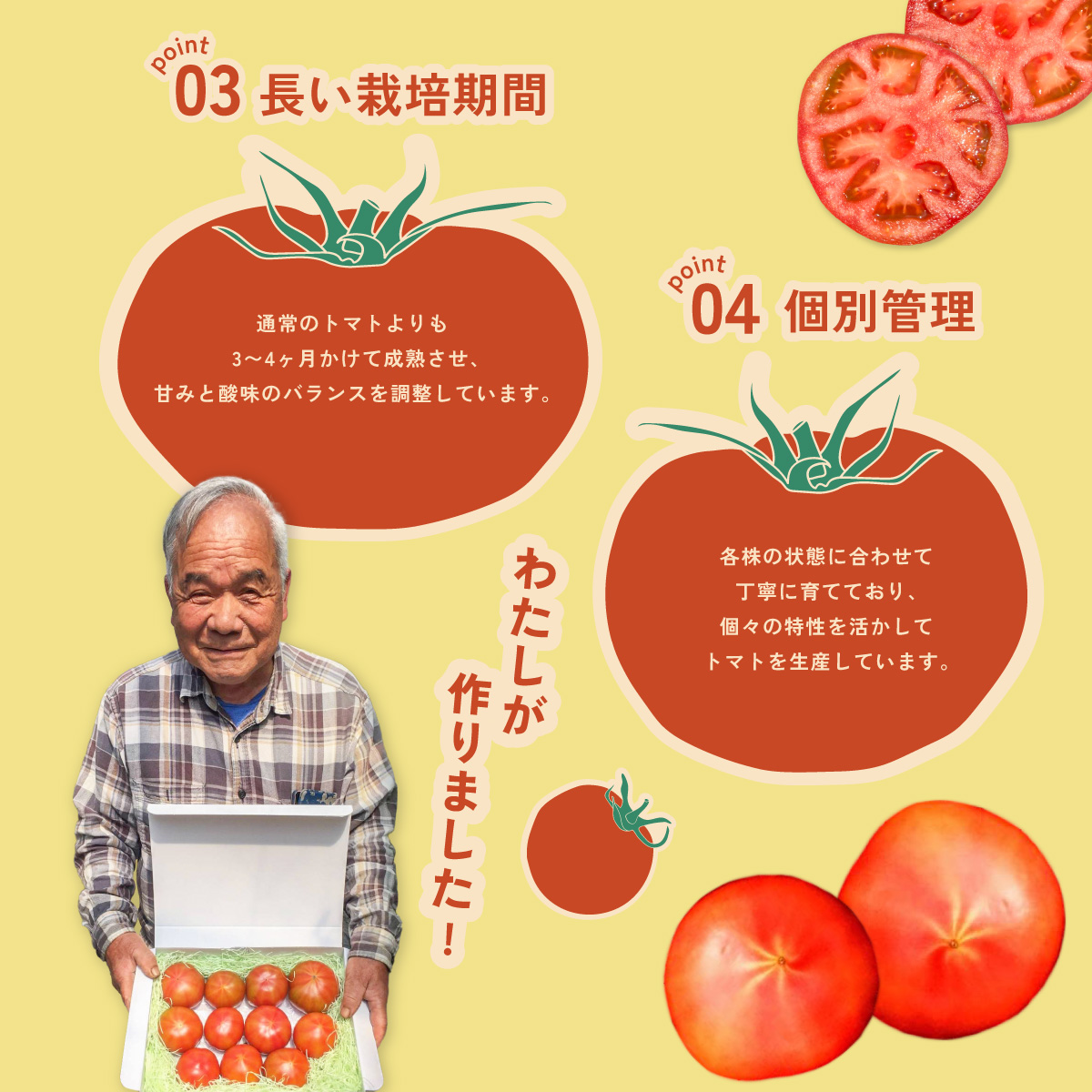 フルーツトマト「海部川のしずく」約1.2kg トマト とまと tomato