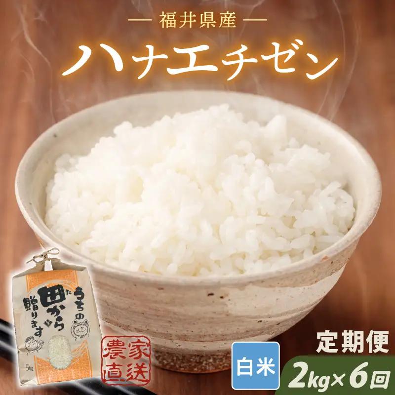 【令和8年産・新米】定期便 6ヶ月連続お届け ハナエチゼン 2kg (1袋) × 6回 計12kg 白米 精米 ブランド米[B-8953]