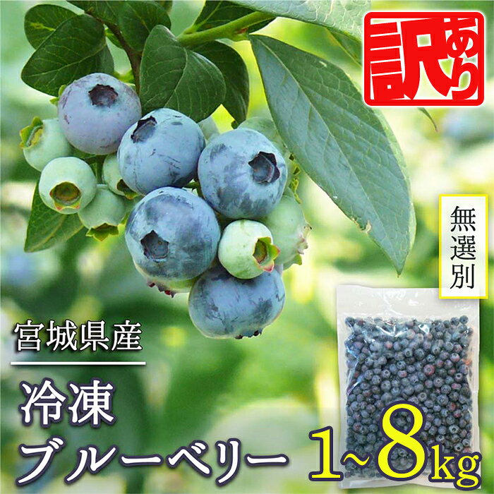 【ふるさと納税】≪ 訳あり≫ 無選別 冷凍ブルーベリー 1kg〜8kg 選べる内容量 ブルーベリー 果物 フルーツ 朝食 ヨーグルト スムージー 健康 訳アリ【有限会社伊豆沼農産】tm439・tm440・tm784・tm785