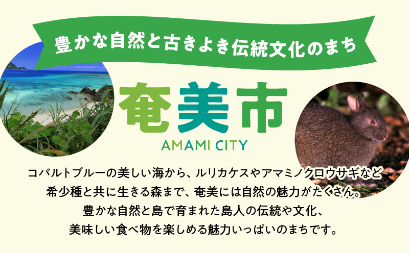 鹿児島県奄美市の対象ツアーに使えるHISふるさと納税クーポン 寄附額1,000,000円