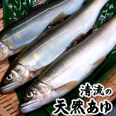 ふるさと納税 新温泉町 清流の天然あゆ(冷凍)食べやすいサイズ　8尾　個包装　兵庫県新温泉町産　