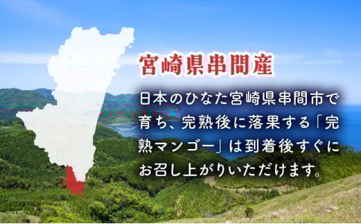 KU019 【令和8年発送分　先行予約！】＜数量限定＞ 串間産完熟マンゴー（2L×2玉）