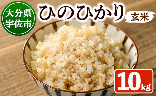 ＜令和7年産＞安心院産ひのひかり 玄米 (10kg) 米 お米 ひのひかり ヒノヒカリ 玄米 ご飯 大分県産【101200203】【百姓和楽】