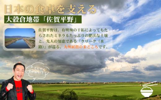 【先行予約】【新米】令和8年 佐賀県産「さがびより」5kg _1月発送：A095-061-03