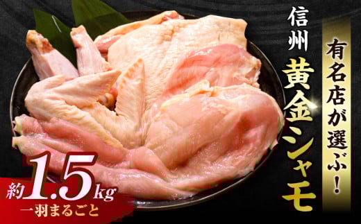 【軍鶏】信州黄金シャモ1羽まるごとセット（モモ肉、ムネ肉、手羽先、手羽元、ササミ）合計約1.5kg｜グランドチャンピオン地鶏 鶏肉 冷凍