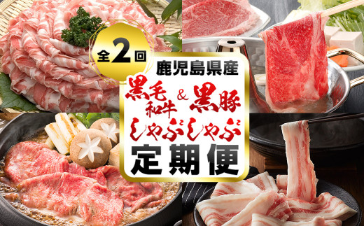 【定期便・全2回】A5等級の鹿児島県産黒毛和牛と黒豚のしゃぶしゃぶ定期便 t0033-003