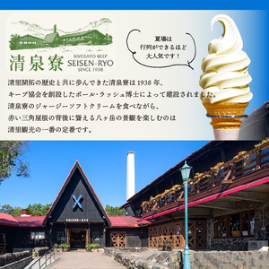 清泉寮ジャージーゴーダチーズ　100g×2個 チーズ ゴーダチーズ 100g×2個 清里 清泉寮牧場 有機ジャージー 有機JAS認証取得 ジャージー牛乳 低温殺菌処理 清里 山梨県 北杜市産 [h04