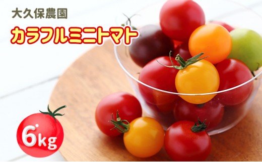 
                  大久保農園の☆新鮮☆カラフルミニトマト 4種 詰合せ6kg（3kg×2箱（サイズ混合）） 野菜 やさい トマト ミニトマト 北海道産 仁木町[大久保農園]
                