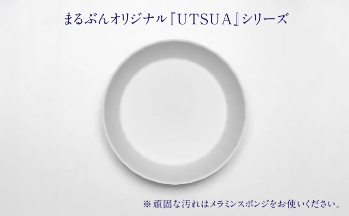 焼き物 有田焼 食器 贈答 新生活 磁器