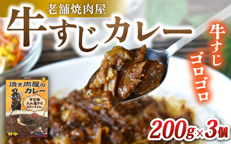 カレー 味園特選 牛すじカレー200g×3個 国産黒毛和牛 / 焼肉ホルモン味園 カレー 奈良県 葛城市 【ajen002】