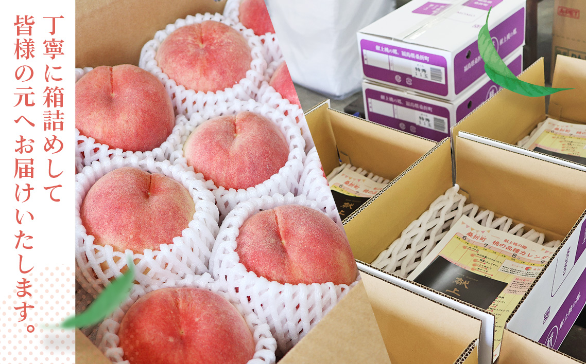 桃づくし定期便【献上桃の郷桑折町産桃3kg×4回】4品種の桃を味わう！
