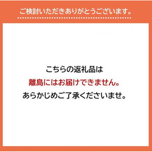 【先行予約】925.【ふるさと納税】【赤肉系メロン】プリモレッド (メロン) と旬の梨セット※離島への配送不可（北海道、沖縄本島は配送可能）