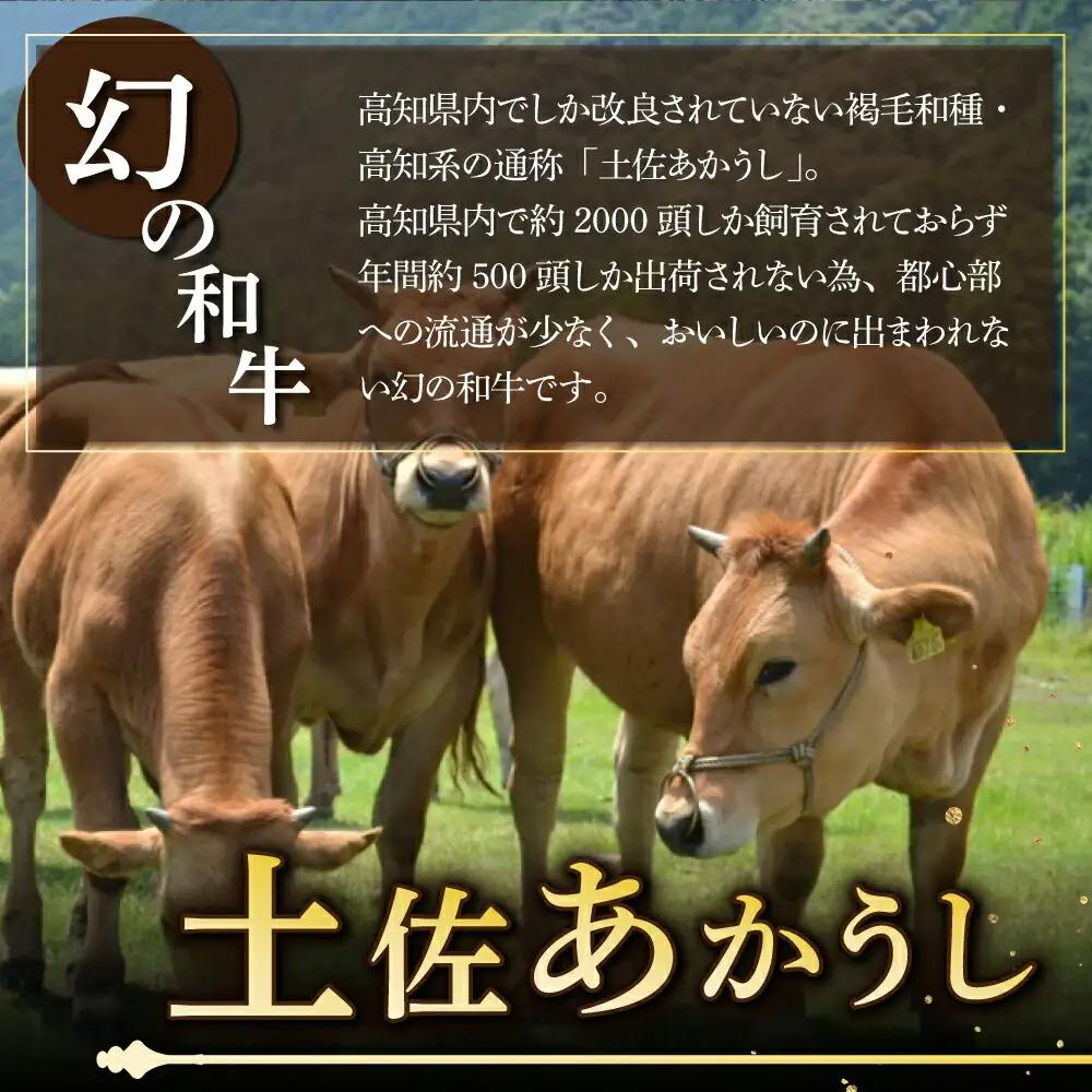 湯煎するだけ！土佐あかうしと四万十ポークのハンバーグ　１５個セット