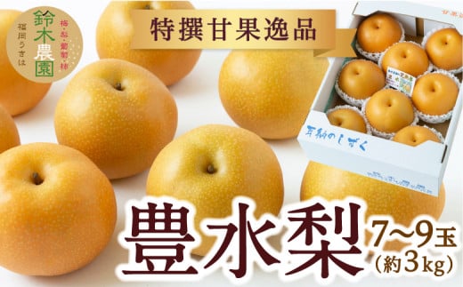 【先行予約】 鈴木農園 特撰甘果逸品 豊水梨 7玉から9玉 （約3kg） 【2025年8月下旬から9月中旬 出荷予定】 完熟梨 梨 なし ナシ 豊水 ほうすい 果物 くだもの フルーツ 果実 新鮮 フレッシュ ジューシー お取り寄せ 福岡県 うきは市