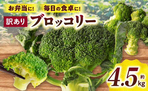 訳ありブロッコリー　約4.5kg | ブロッコリー 野菜 食材 サラダ 料理 大きい 新鮮 生野菜 生鮮食品 栄養価が高い ご家庭用 生産者応援 冷蔵 おすすめ 香川県 三木町 |_mk006-093