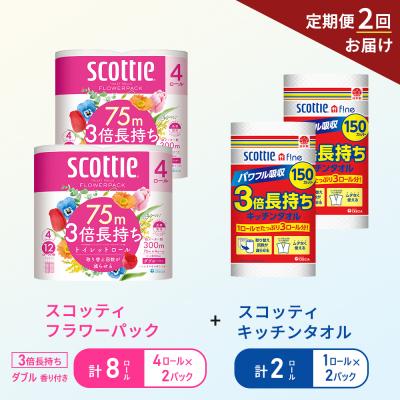 ふるさと納税 岩沼市 【6ヶ月ごと計2回お届け】キッチンペーパー+トイレットペーパー2P[No.5704-1755]