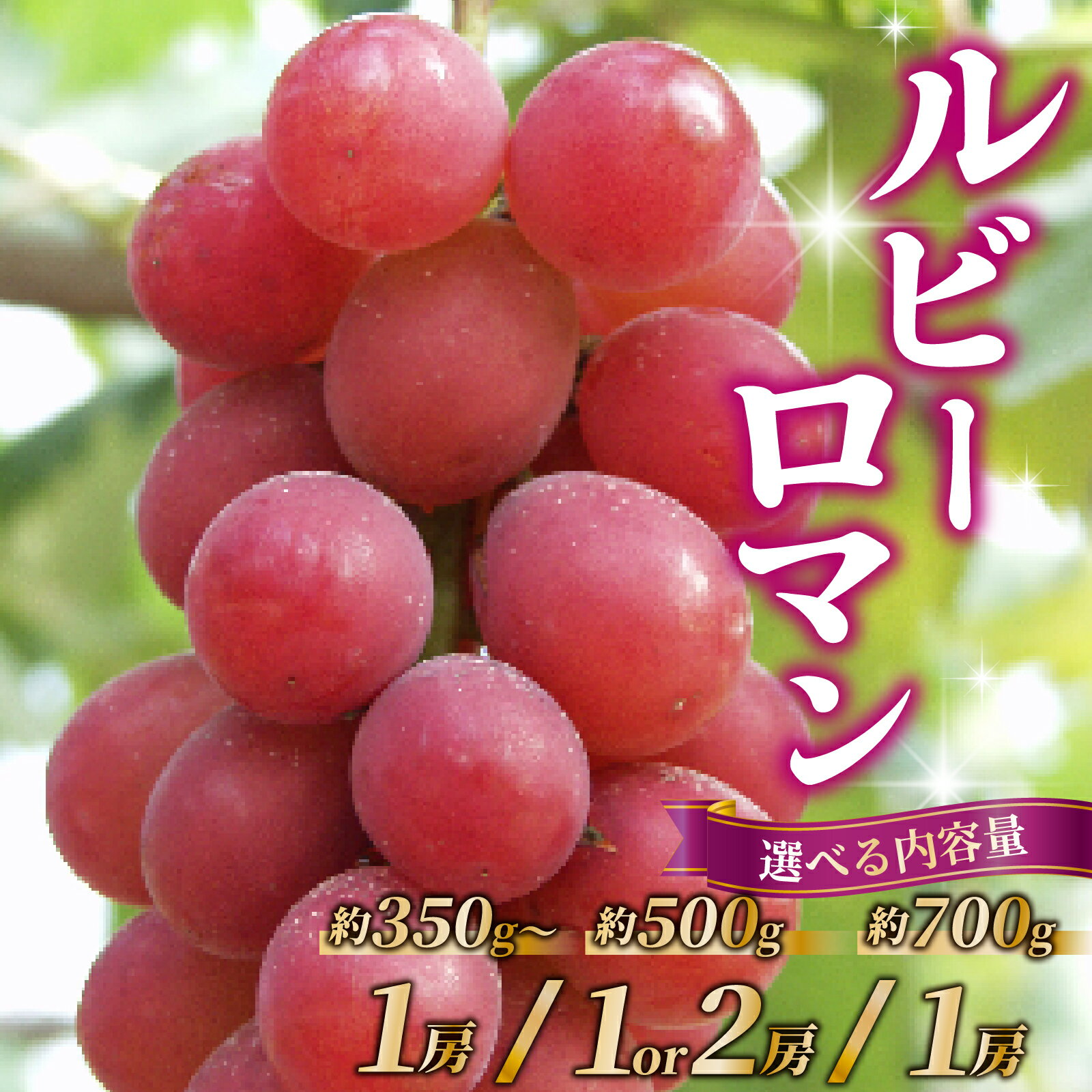 【ふるさと納税】【先行予約】【選べる容量】ルビーロマン 「約350g×1房」 or 「約500g×1房～2房」 or 「約700g×1房」 【2026年8月中旬より順次発送】 | ぶどう 葡萄 ブドウ フルーツ 果物 人気 おすすめ 超高級 贈答品 美味しい 甘い 大粒 手土産 果実 冷蔵 土産 お土産