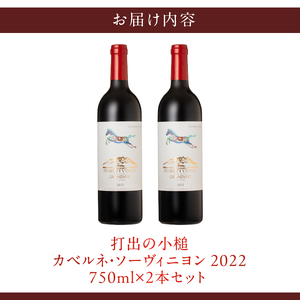 打出の小槌 カベルネ・ソーヴィニヨン 2022　2本　ワイン 赤ワイン カベルネ・ソーヴィニヨン 2022 750ml 2本 数量限定 赤 国産ワイン 山梨県産 白州産 北杜市産 完熟  黒系果実 オ