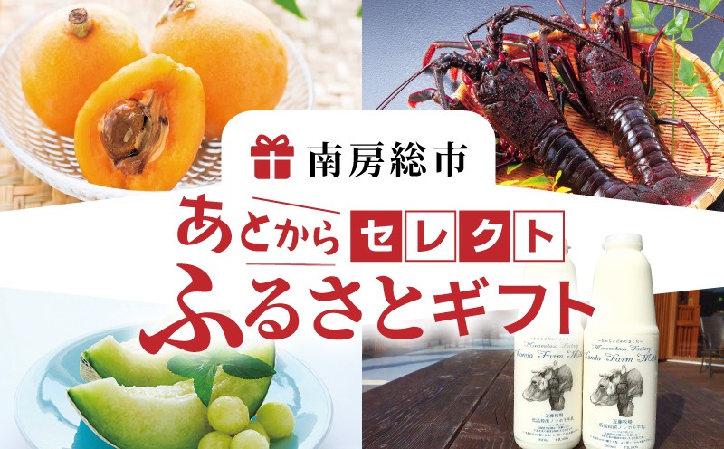 
            あとからセレクト【ふるさとギフト】10,000円 mi0000-0001 【ギフト チケット ギフトコード 交換 ポイント あとから】
          