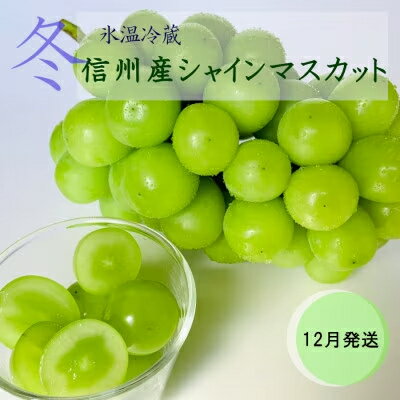 【ふるさと納税】【2025年12月中旬より順次発送】信州産冷蔵シャインマスカット 1房（600g以上）大粒＆大房 果物 ぶどう フルーツ みずみずしい 長野県産 食後 デザート 　お届け：2025年12月中旬より順次発送