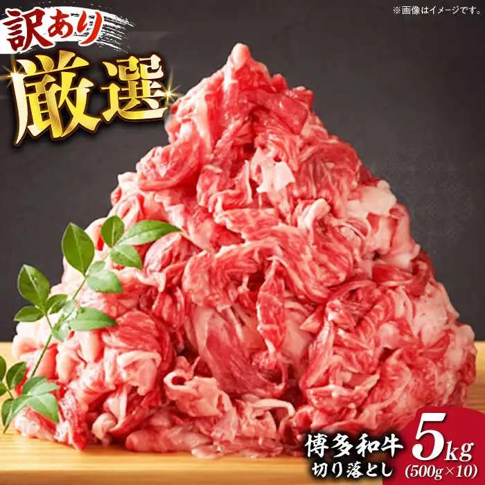 【訳あり】牛肉切り落とし 5kg (500g×10p） 博多和牛 牛肉切り落とし [ABBP066]