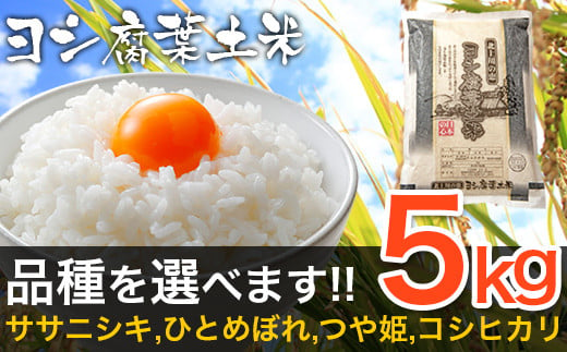 令和6年産 ヨシ腐葉土米ひとめぼれ5kg（精米）