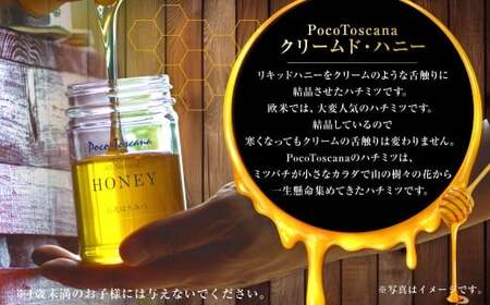 クリームド・ハニー  200g瓶×3本セット （計600g） 蜂蜜 はちみつ ハチミツ 非加熱ハチミツ セット 九州 長崎県 長崎市 常温