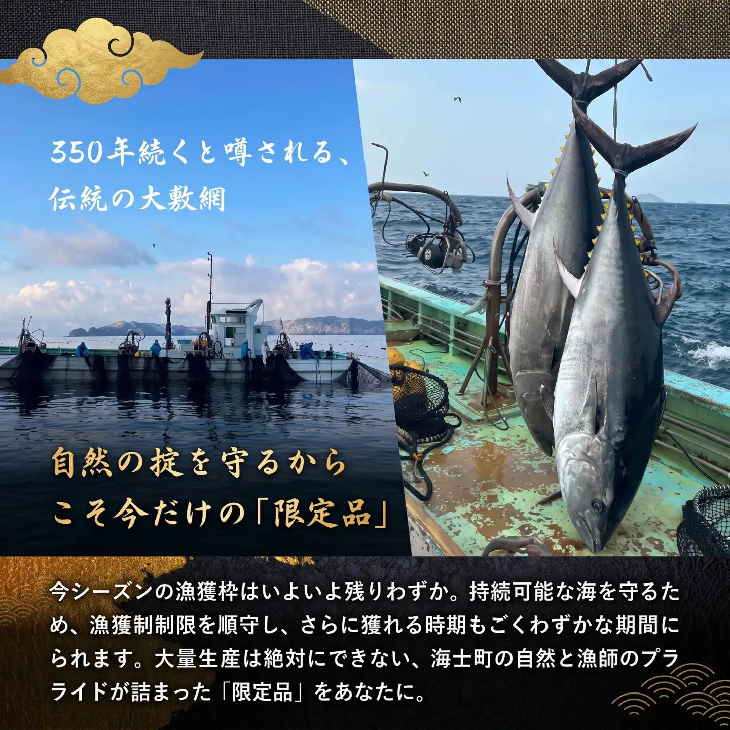 マグロ 500g（100g×5パック）クロマグロ　海士町