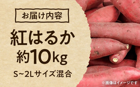 紅はるか 秀品 約10kg S～2Lサイズ混合　【株式会社 Foody’s】　[AYAT005]