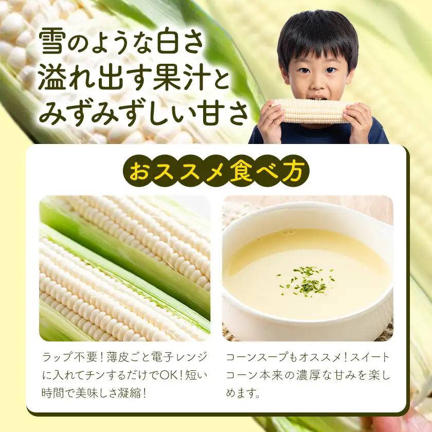【先行予約】とうもろこし スイートコーン 約5本 2kg のざわ農園 《2026年8月上旬-9月中旬頃出荷》