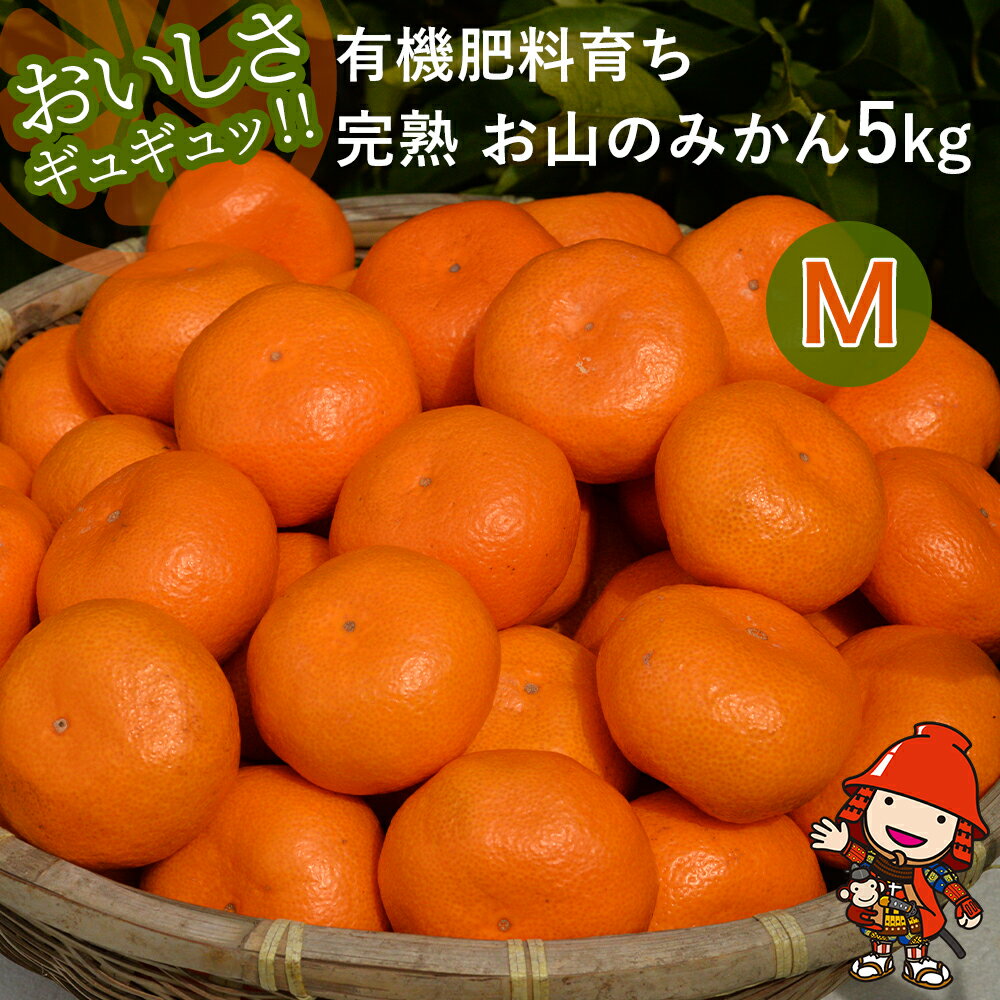【ふるさと納税】【先行予約】【数量限定】大久保農場の有機肥料育ち完熟 お山のみかん 5kg(M)+3個 (傷み補償分) | フルーツ 果物 くだもの 蜜柑 ミカン みかん 柑橘 柑橘類 温州みかん 産地直送 国産 大分県 中津市【発送は2025年11月中旬～2026年2月下旬の予定】