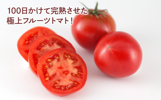 ＜2026年1月下旬より発送＞濃厚フルーツトマト1kg 糖度8度以上 期間限定 フルーツトマト ふるーつとまと とまと トマト 甘い 濃厚 美味しい 箱入り ギフト 贈答 野菜 料理 サラダ お取り寄せグルメ 高知県産
