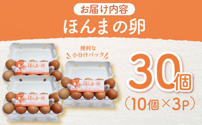平飼いニワトリの有精卵！ほんまの卵 30個（1パック10個×3パック） / たまご 卵 平飼い / 佐賀県 / 本間農園 [41AJAA002]