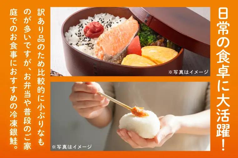 【訳あり】 塩銀鮭 切身 切落し 2kg (500g × 4パック) 切り身 真空パック 冷凍_ET002