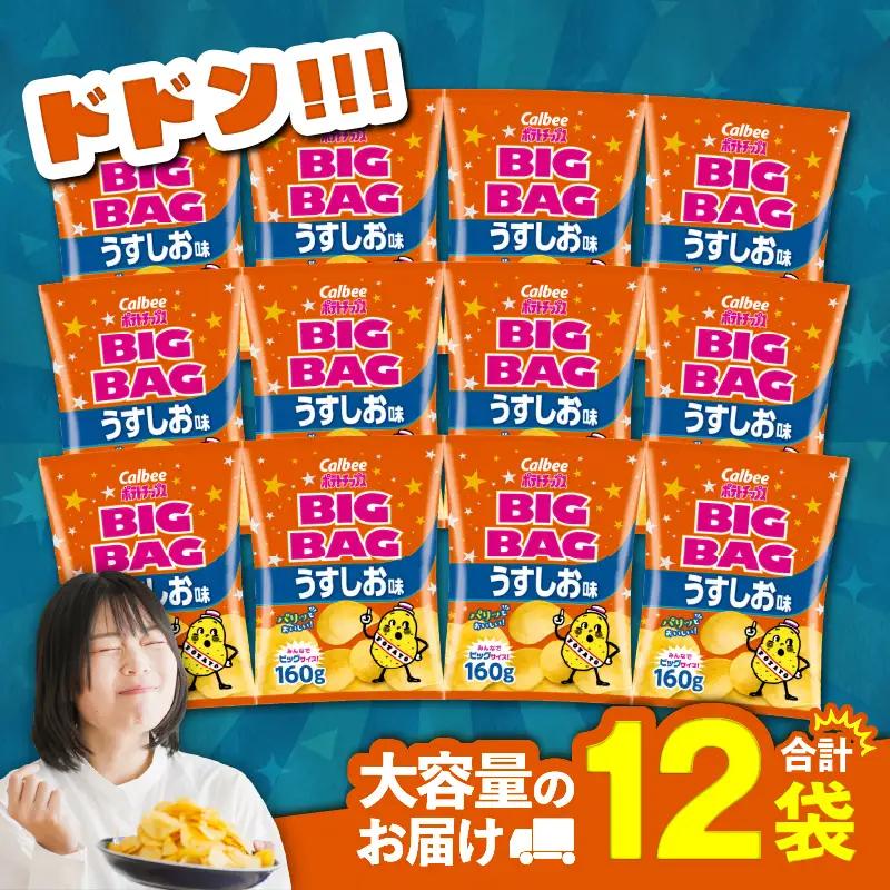カルビー ポテトチップス BIGBAG【うすしお】12袋 K194-002_04 菓子
