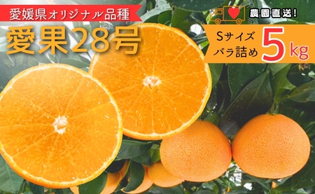 みかん 愛果28号 5kg Sサイズ バラ詰め 紅まどんなと同一品種 農園直送 先行予約 【11月中旬から順次発送予定】 愛媛 数量限定 愛媛県産 人気 柑橘 伊予市｜ B528