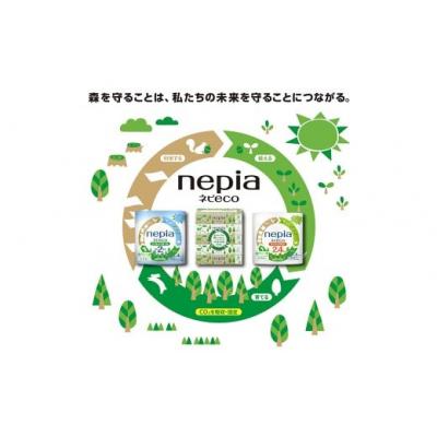 ふるさと納税 春日井市 【定期便】2回発送(3か月おきに)ネピア ネピecoティシュ200組　5箱×12パック |  | 01