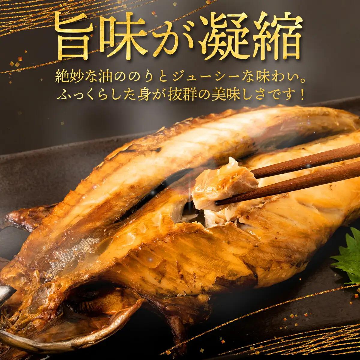 海駅製作所 干物詰め合わせ お任せ3種以上 500g【MT014-1】