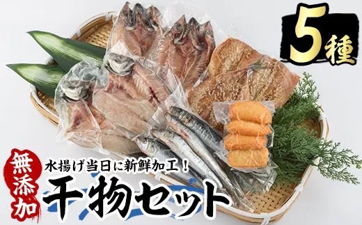 浜のかあちゃん 干物5種セット【浜のかあちゃん】_hama-7068