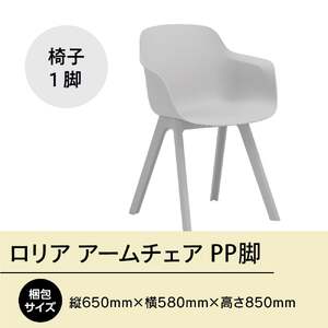 椅子 アダル ロリア アームチェア オフホワイト PP脚 P3003-1WW 椅子