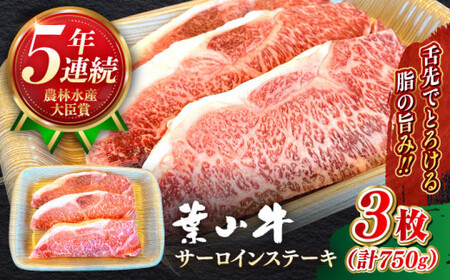 【葉山牛】750g　サーロインステーキ ／ 牛肉 サーロイン 黒毛和牛 ステーキ【葉山牛ステーキレストラン 角車】[ASBD017]