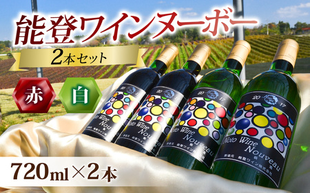 【先行予約】期間限定！ 能登ワインヌーボー２本セット / わいん ワイン 赤 白 能登ワイン 奥能登 能登半島 牡蠣 かき 熟成 ぶどう ブドウ 葡萄 送料無料