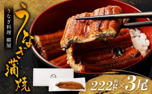 「うなぎ料理 柳屋」 うなぎ 蒲焼 222g×3尾 計約666g 鰻 蒲焼き たれ付き 山椒 うな重 ひつまぶし 冷凍 福岡県 筑後市