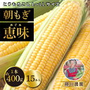 【ふるさと納税】北海道産 朝もぎ とうもろこし 恵味 L-LLサイズ 約400g×15本 スイートコーン ゴールドコーン トウモロコシ とうきび コーン 旬 完熟 野菜 甘い おやつ 産地直送 お取り寄せ 北海道 送料無料 伊達 　伊達市　お届け：2024年7月中旬～9月上旬まで