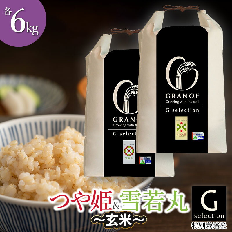 【ふるさと納税】【令和7年産 先行予約】Gセレクション つや姫・雪若丸【玄米】 各6kg（計12kg） 山形県鶴岡産　株式会社グラノフ