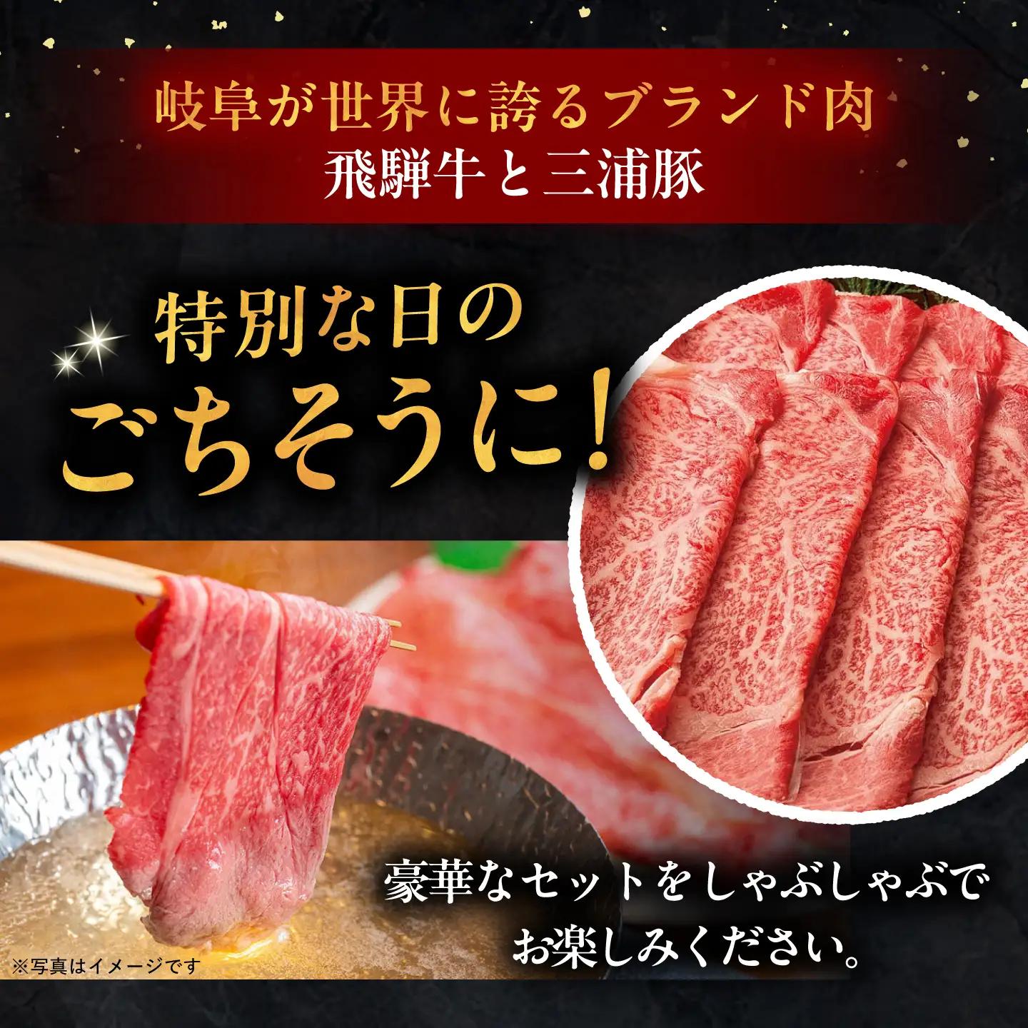 【3回定期便】 飛騨牛ロース400g 三浦豚ロース300g 豪華しゃぶしゃぶセットB 各種類1パック / 恵那市 / 岩島屋 [AUAJ048]